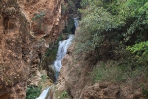 Oaxaca: Excursión de un día a la Cascada de Santiago Apoala con traslados