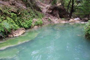 Oaxaca: Excursión de un día a la Cascada de Santiago Apoala con traslados