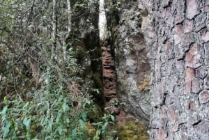 Oaxaca: Sierra Norte Tour with Zipline and Hanging Bridge