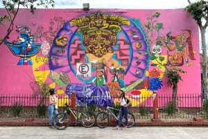 Oaxaca: Street Art Bike Tour