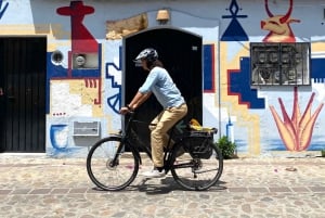 Oaxaca: Street Art Bike Tour