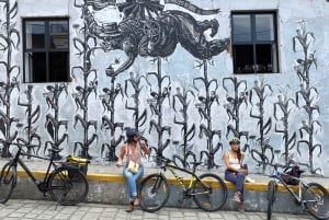 Oaxaca: Street Art Bike Tour