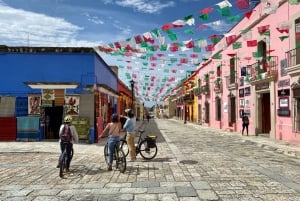 Oaxaca: Street Art Bike Tour