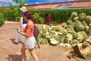 Oaxaca: Traditional Market Private Tour