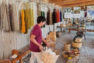 Oaxaca: Traditional Market Private Tour