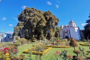 Oaxaca: Excursión al Árbol del Tule, Teotitlán, Mitla y Hierve el Agua