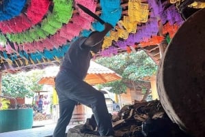 Oaxaca: Excursión al Árbol del Tule, Teotitlán, Mitla y Hierve el Agua