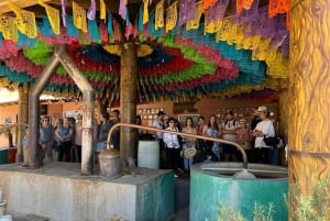 Oaxaca: Excursión al Árbol del Tule, Teotitlán, Mitla y Hierve el Agua