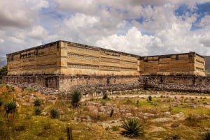 Oaxaca: Excursión al Árbol del Tule, Teotitlán, Mitla y Hierve el Agua