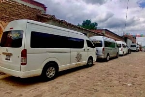 Oaxaca: Tour Árbol del Tule, Teotitlán, Mitla y Hierve el Agua