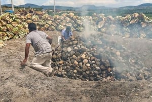 Oaxaca: Zapotec Roots, Mezcal and Textiles Tour