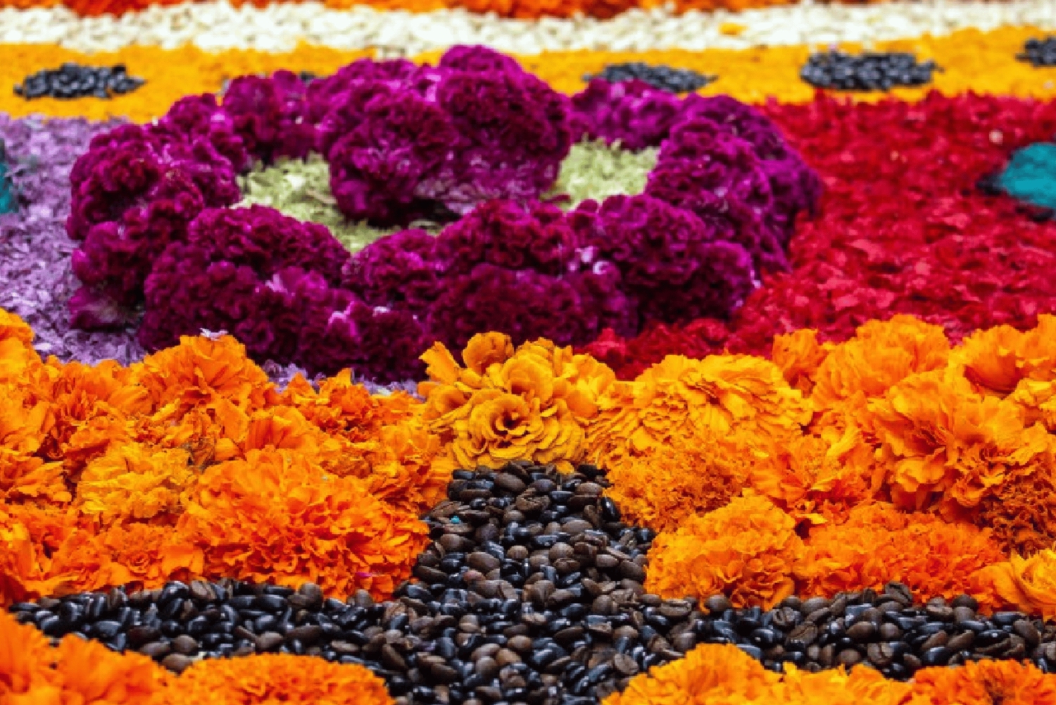 Ocotopec: Excursión de Día de Muertos