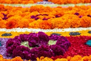 Ocotopec: Day of the Dead Tour