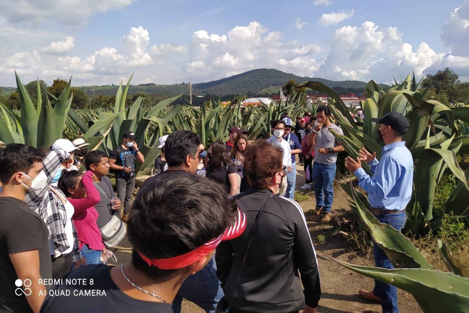 Excursión de un día desde Ciudad de México al Santuario de las Luciérnagas