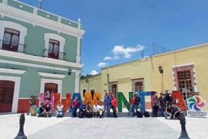 One day tour from Mexico City to Firefly Sanctuary