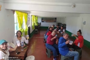 One day tour from Mexico City to Firefly Sanctuary