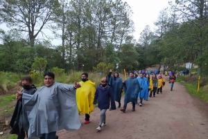 Excursión de un día desde Ciudad de México al Santuario de las Luciérnagas