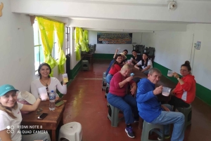 Excursión de un día desde Ciudad de México al Santuario de las Luciérnagas