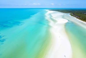 One day tour to Holbox with lunch and transfer from Cancun and Riviera Maya