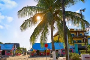 One day tour to Holbox with lunch and transfer from Cancun and Riviera Maya