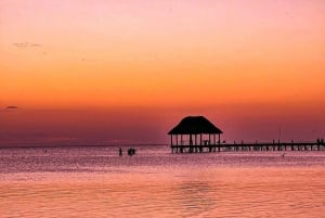 One day tour to Holbox with lunch and transfer from Cancun and Riviera Maya