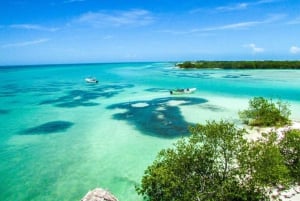 One day tour to Holbox with lunch and transfer from Cancun and Riviera Maya