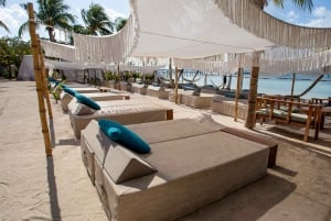 Only Adults Catamarán Party to Isla Mujeres lunch & Open Bar