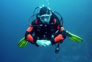 Open Water Diver Course for beginners + Transportation