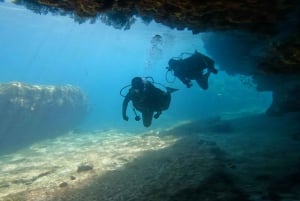 Open Water Diver Course for beginners + Transportation