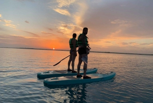 Excursión en paddleboard o kayak al amanecer en la laguna de Bacalar