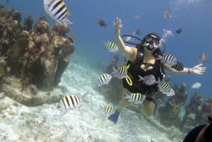 PADI Discover Scuba Diving para buceadores sin titulación