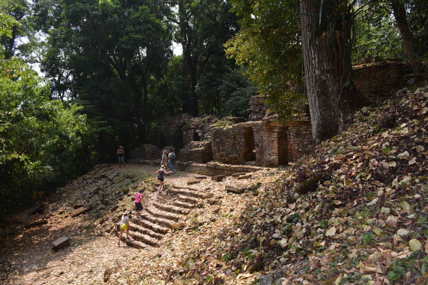 Palenque: 2-Day Lacandon Jungle, Yaxchilan, & Bonampak Trip