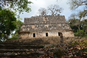 Palenque: 2-Day Lacandon Jungle, Yaxchilan, & Bonampak Trip