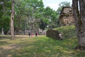 Palenque: 2-Day Lacandon Jungle, Yaxchilan, & Bonampak Trip