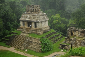 Palenque: Agua Azul, Misol-Ha and Palenque Ruins Day Tour