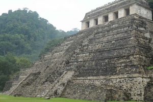 Palenque: Agua Azul, Misol-Ha and Palenque Ruins Day Tour