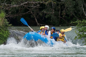 Palenque: Bonampak Site and Rafting in the Lacandona Jungle
