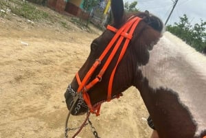 Palenque: Eco-Tour Privado a Caballo con Comida