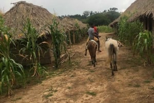 Palenque: Eco-Tour Privado a Caballo con Comida