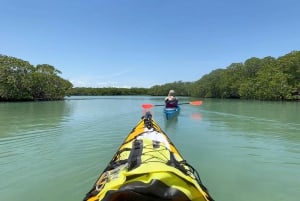 De Palenque a San Cristóbal. Excursión de 5 días por la selva + Rafting+Kayak