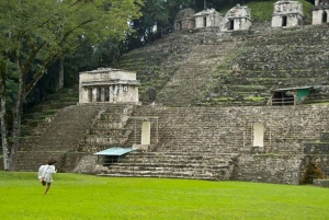 Palenque: Yaxchilán and Bonampak 1 Day Tour
