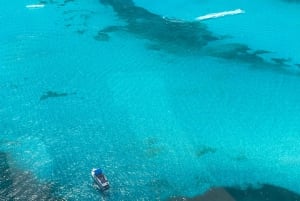 Cancun Hotel Zone: Panoramic Flight