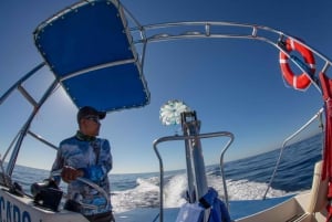 Aventura en Parasailing en Cabo San Lucas