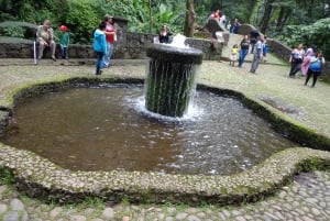 Excursión Especial al Cráter del Volcán Paricutín