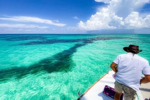 Passion Island Cozumel: Private Boat Tour Ceviche Included