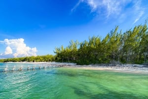 Passion Island Cozumel: Private Boat Tour Ceviche Included