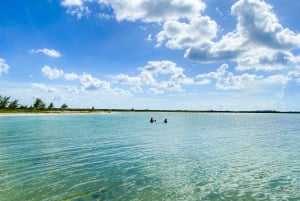 Passion Island Cozumel: Private Boat Tour Ceviche Included