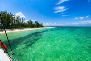 Passion Island Cozumel: Private Boat Tour Ceviche Included