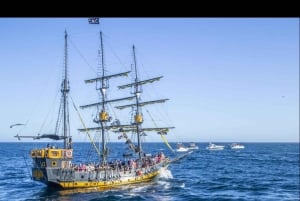 Pirate party boat at sunset