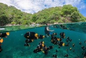 Pirate Ship Day Tour: Beach, Foods, Sea activities and More